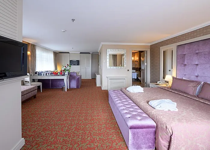 Отель Dream Hill Business Deluxe 4*