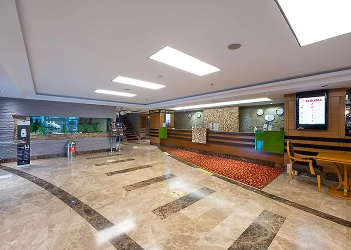 Отель Dream Hill Business Deluxe 4*