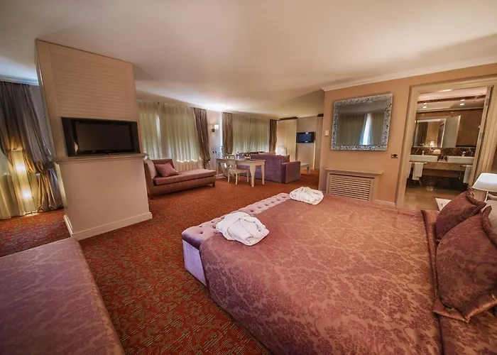 Отель Dream Hill Business Deluxe 4*